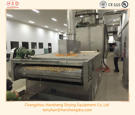 Continuous multi layer mesh belt dryer fruit and vegetable drying equipment